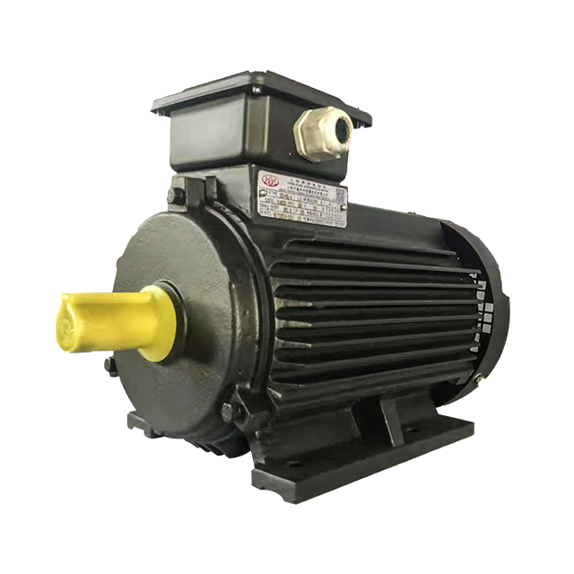 YE3 系列三相異步電動(dòng)機(jī)