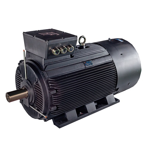 HM 系列低壓大功率三相異步電動(dòng)機(jī)