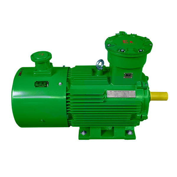 YBBP 系列隔爆型變頻調(diào)速三相異步電動(dòng)機(jī)