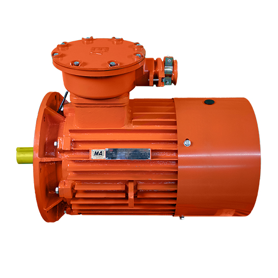 YBS 系列輸送機(jī)用隔爆型三相異步電動(dòng)機(jī)